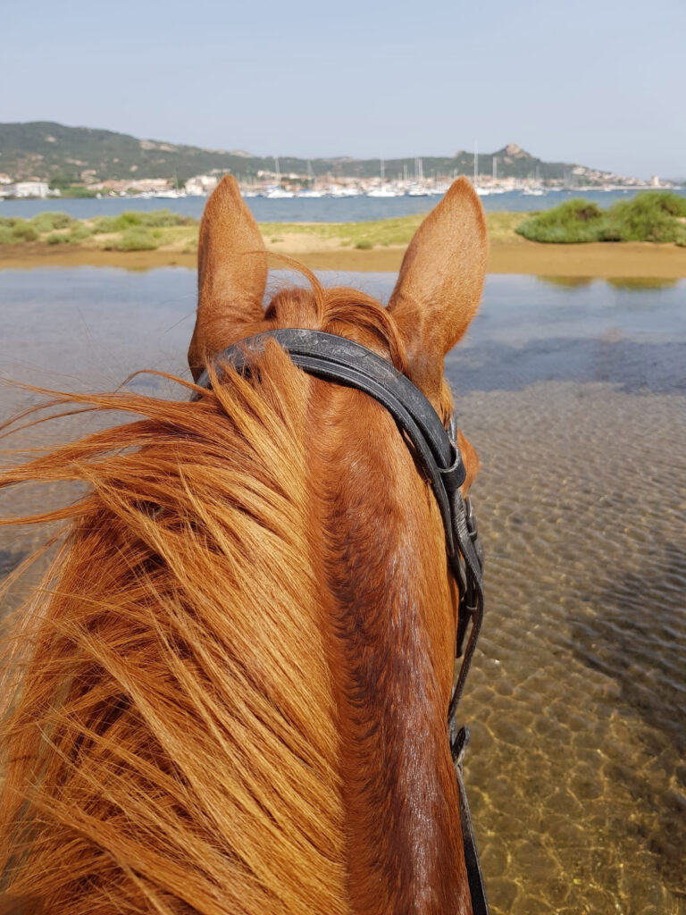 maneggio cavallo costa smeralda cannigione